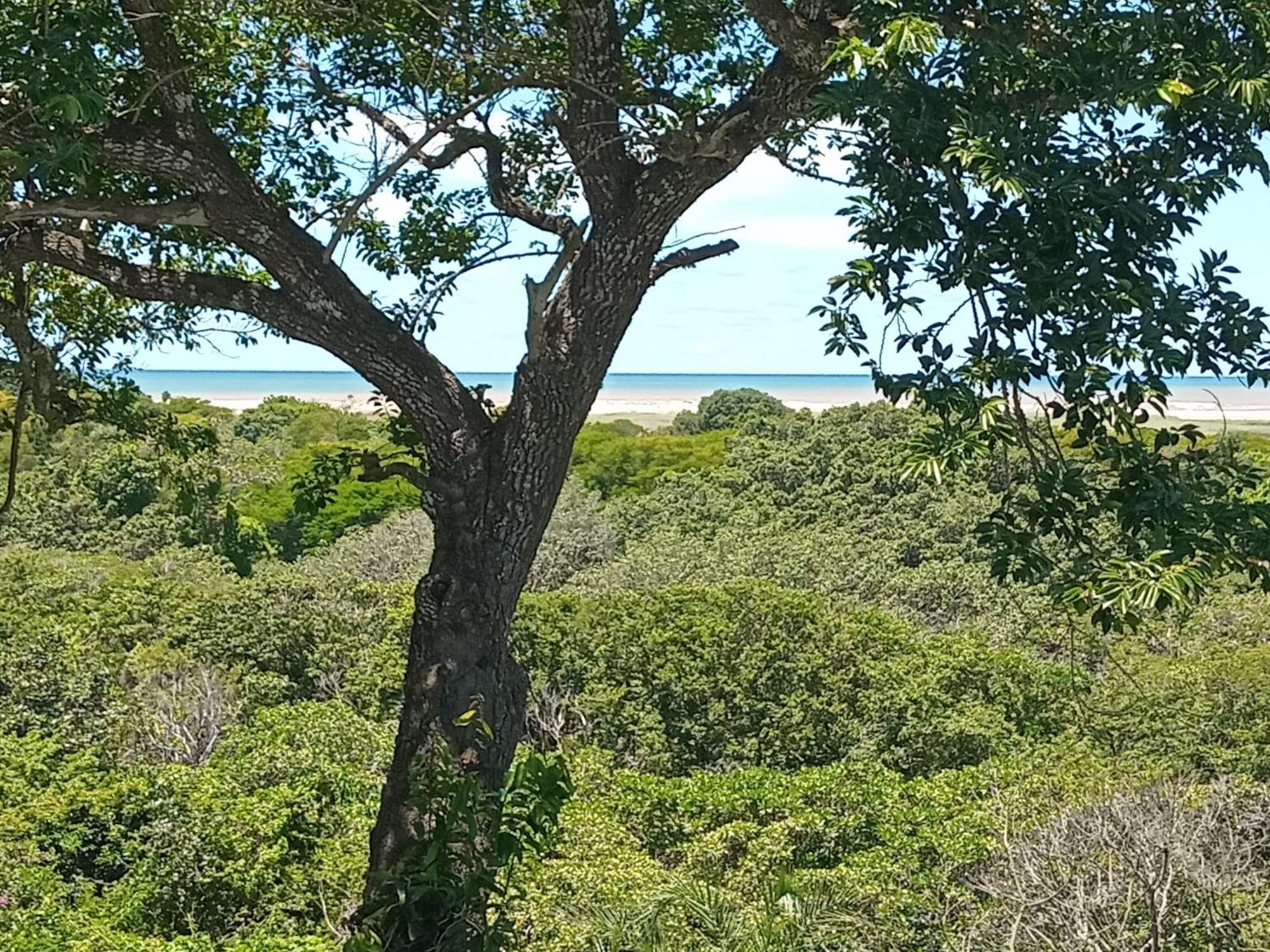 St. Lucia Ocean View Holiday Home מראה חיצוני תמונה